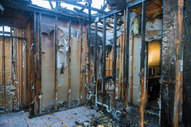 Professional Fire Damage Removal technician working in Ravensdale, WA