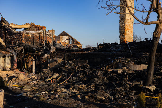 Reliable Fire Damage Removal contractor in Ravensdale, WA by Fire Damage Flint